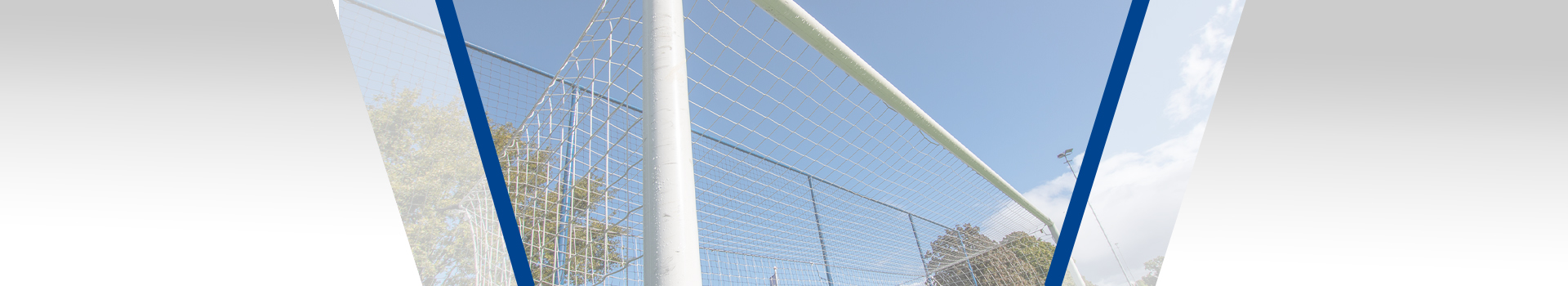 goal 2